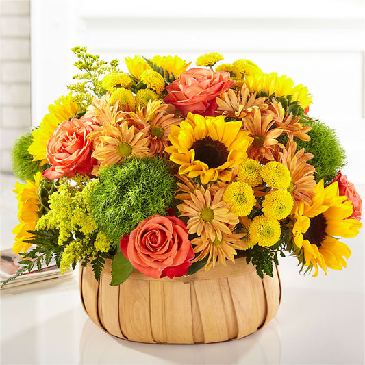 Harvest Sunflower Basket – J ALEXANDER'S FLORIST, Jackson MI