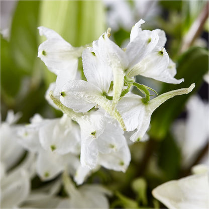 Classic Ivory – A Florist Original – J ALEXANDER'S FLORIST, Jackson MI