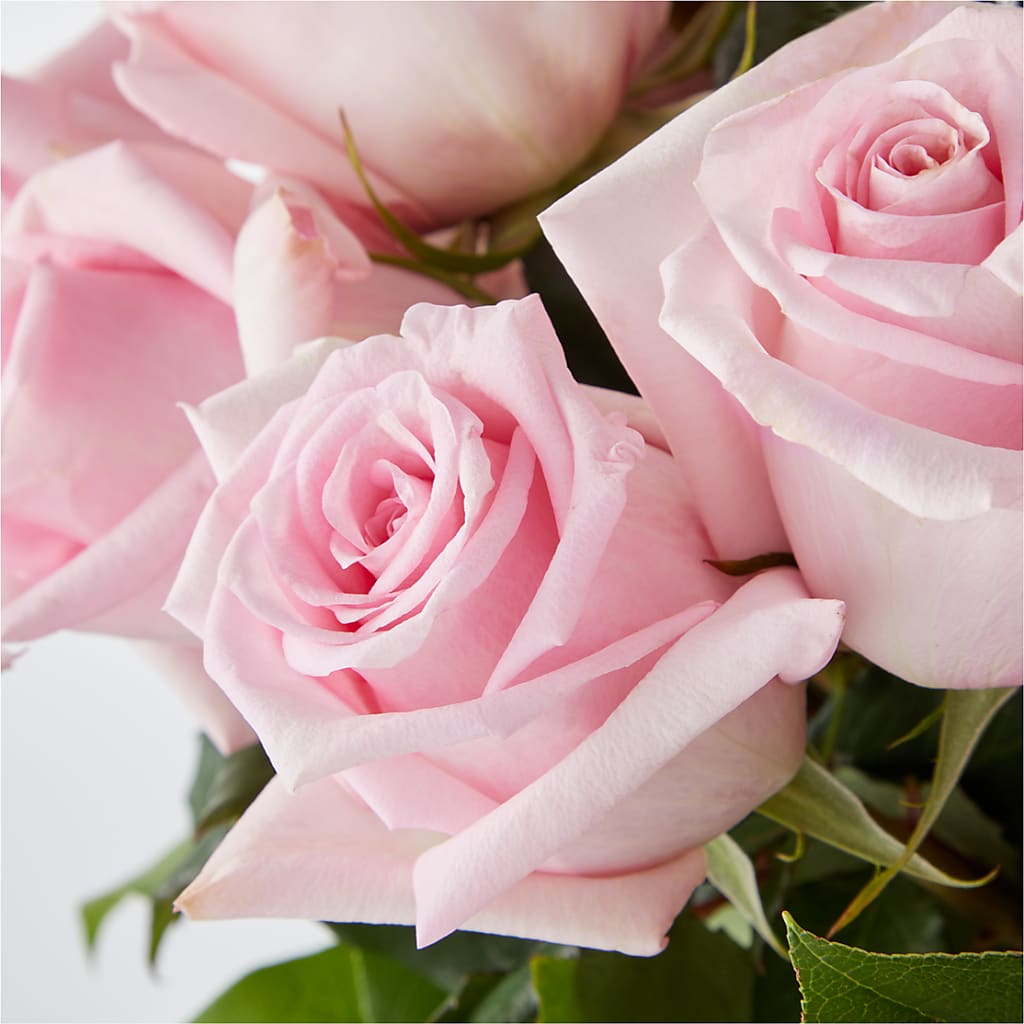 Picture Perfect Pink Rose Bouquet – J ALEXANDER'S FLORIST, Jackson MI