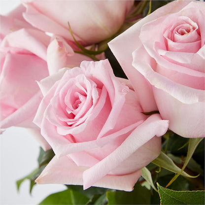 Picture Perfect Pink Rose Bouquet – J ALEXANDER'S FLORIST, Jackson MI