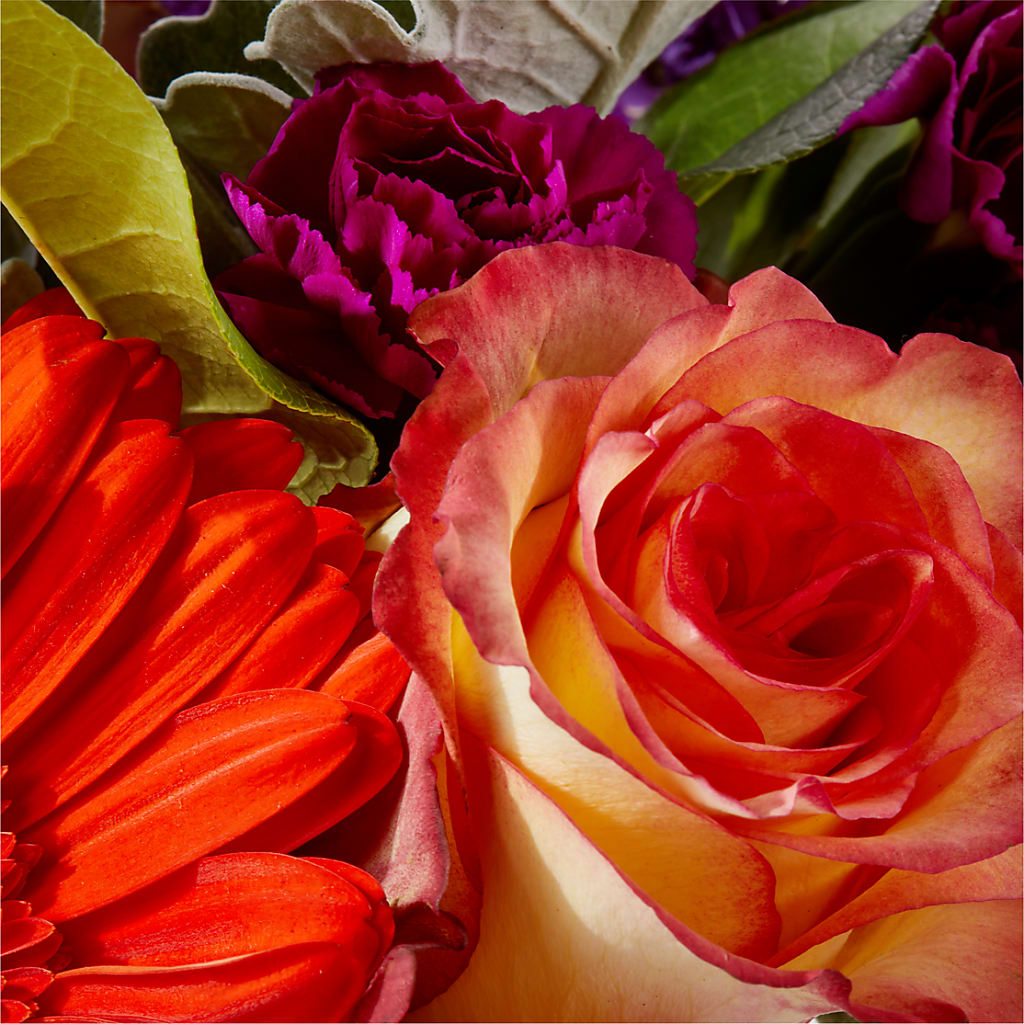 Sangria Bouquet – J ALEXANDER'S FLORIST, Jackson MI