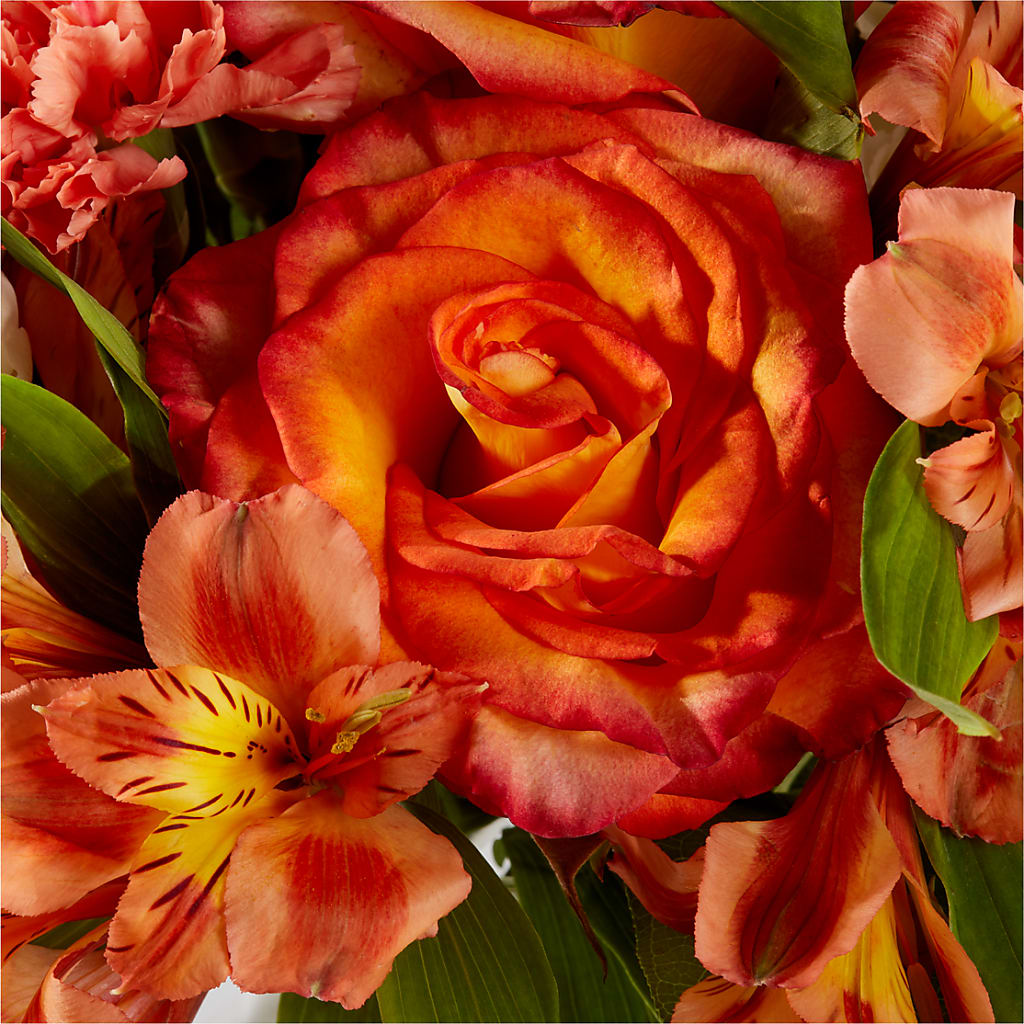 Apricot Glow Bouquet – J ALEXANDER'S FLORIST, Jackson MI