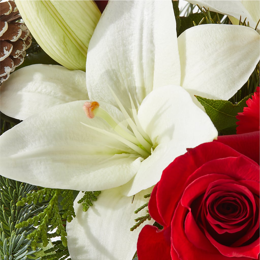 Oh So Jolly Bouquet – J ALEXANDER'S FLORIST, Jackson MI