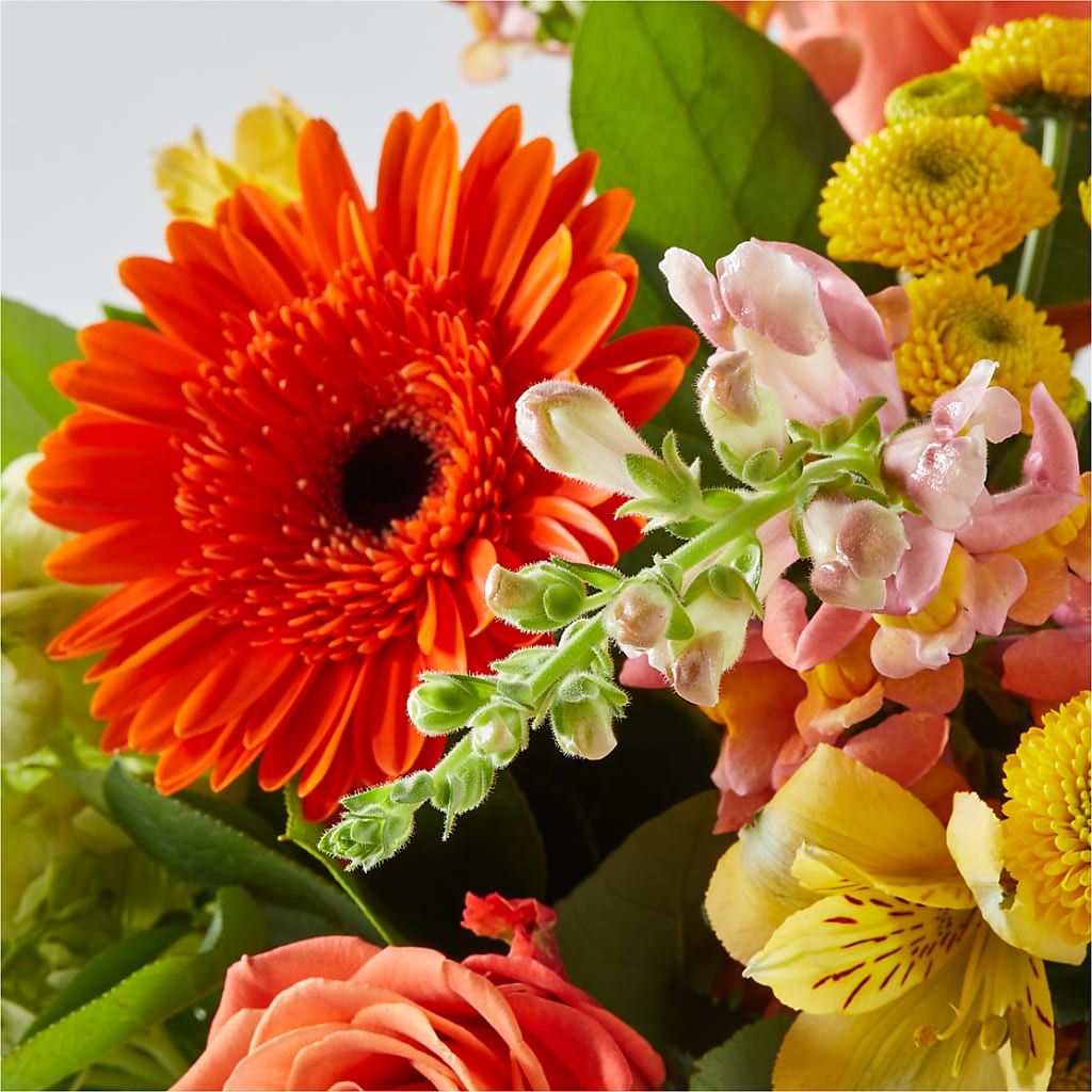 Autumn Sunshine Bouquet – J ALEXANDER'S FLORIST, Jackson MI
