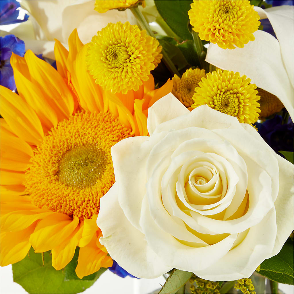 Stargazing Bouquet – J ALEXANDER'S FLORIST, Jackson MI