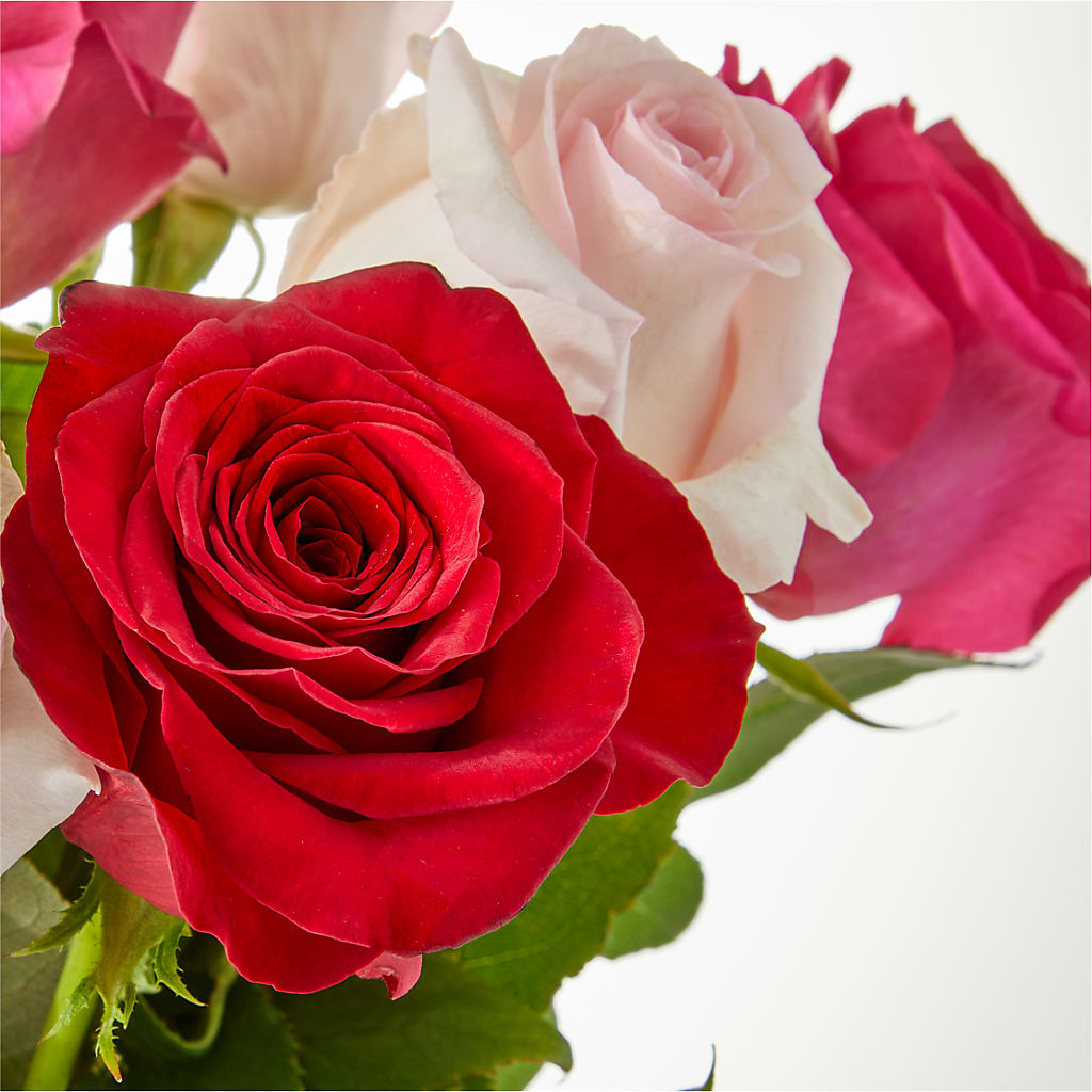 Charming Rose Bouquet – J ALEXANDER'S FLORIST, Jackson MI