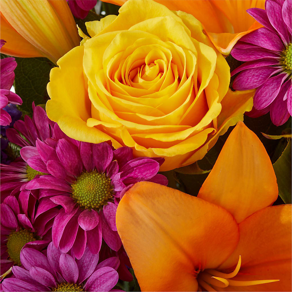 Colorful Visions Bouquet – J ALEXANDER'S FLORIST, Jackson MI