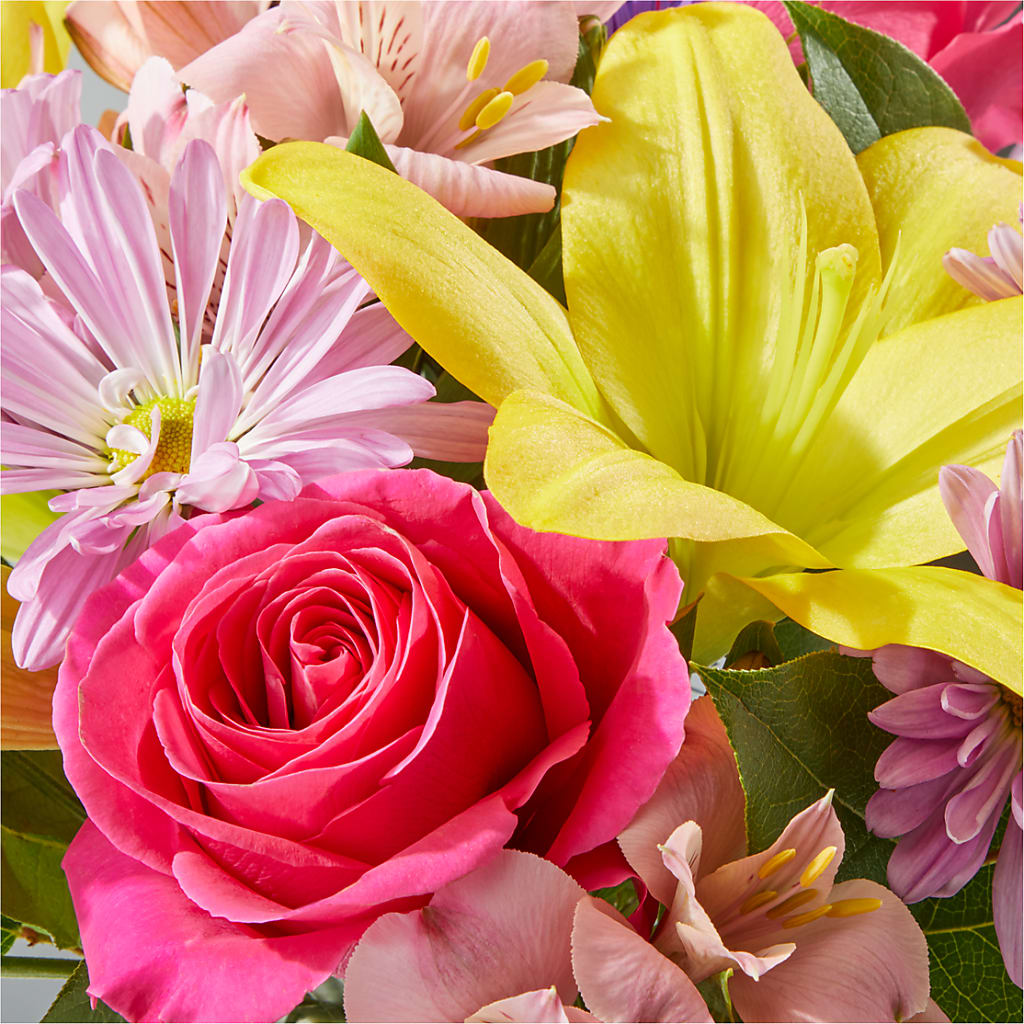Sprinkles Bouquet – J ALEXANDER'S FLORIST, Jackson MI
