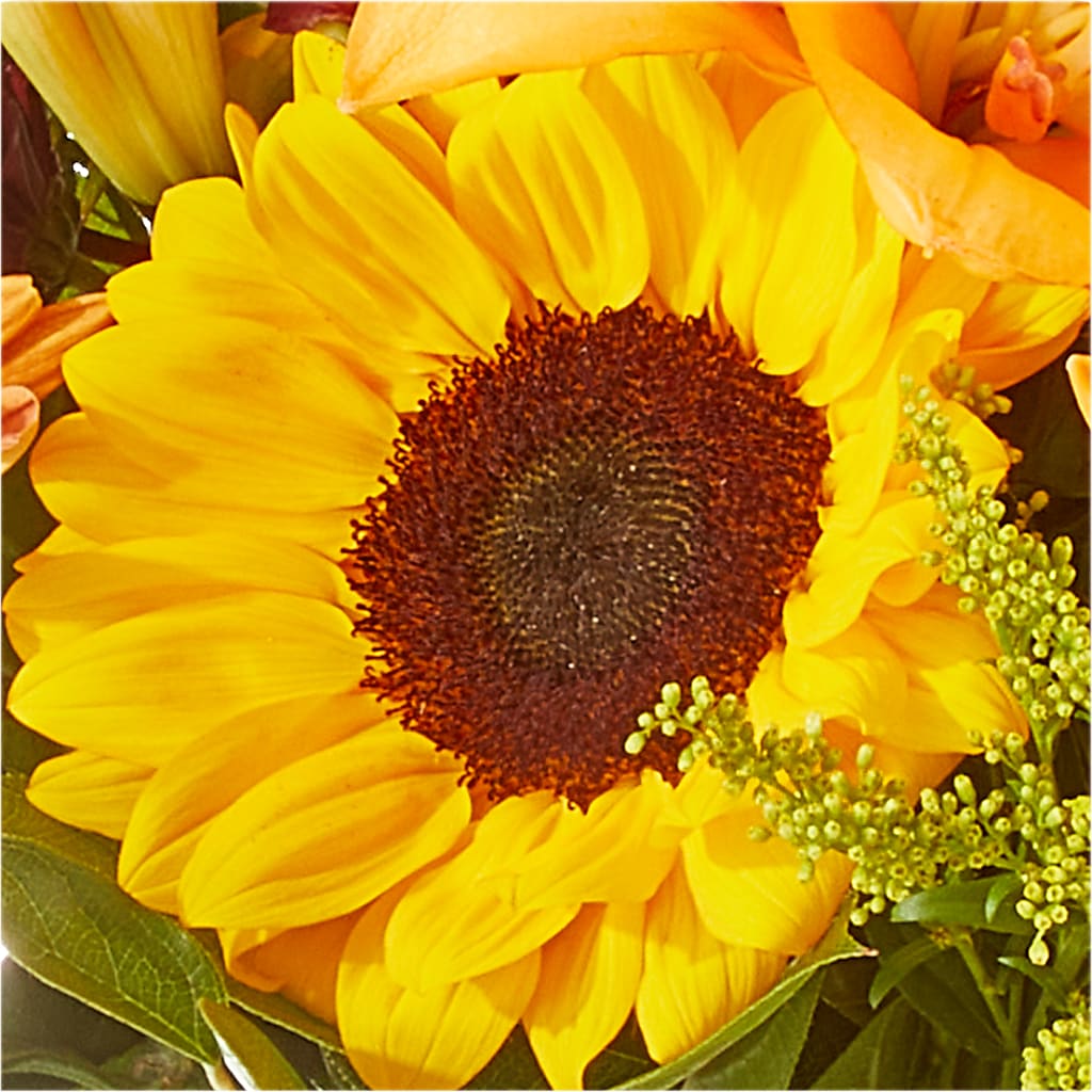 Seasons Change Bouquet – J ALEXANDER'S FLORIST, Jackson MI