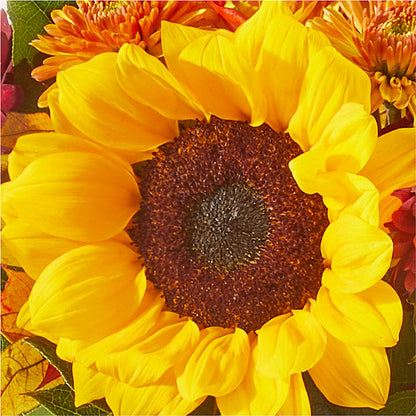 Sunny Side Bouquet – J ALEXANDER'S FLORIST, Jackson MI