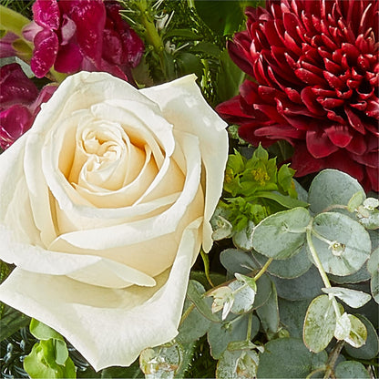 Cranberry Fizz Bouquet – J ALEXANDER'S FLORIST, Jackson MI