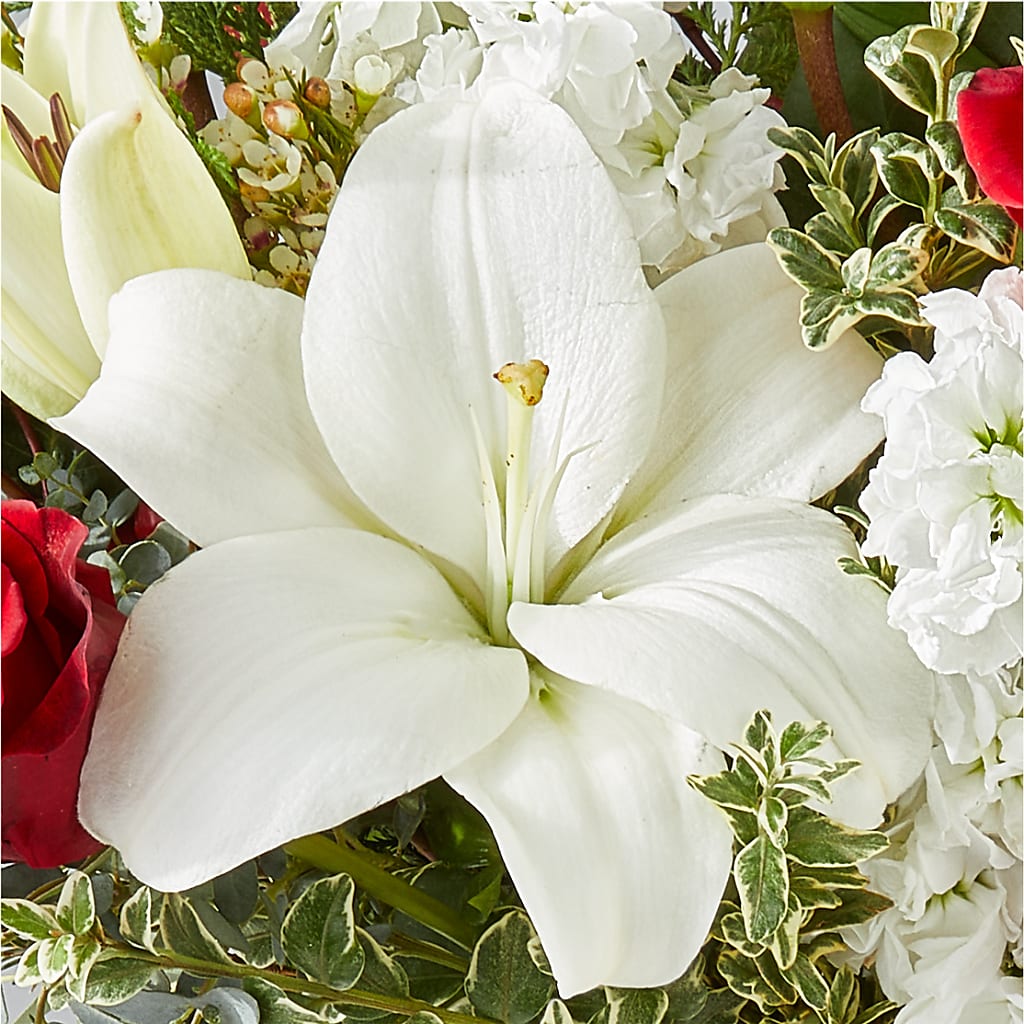Twinkle Lights Bouquet – J ALEXANDER'S FLORIST, Jackson MI
