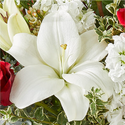 Twinkle Lights Bouquet – J ALEXANDER'S FLORIST, Jackson MI