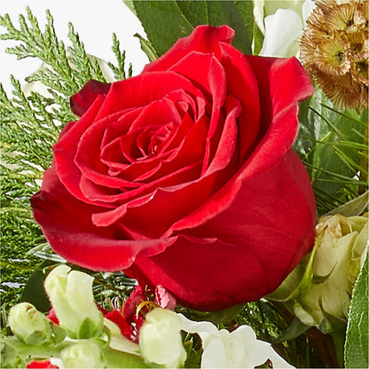 Deck the Halls Bouquet – J ALEXANDER'S FLORIST, Jackson MI