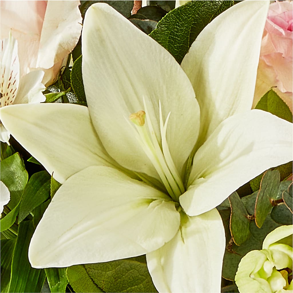 Ballet Slippers Bouquet – J ALEXANDER'S FLORIST, Jackson MI