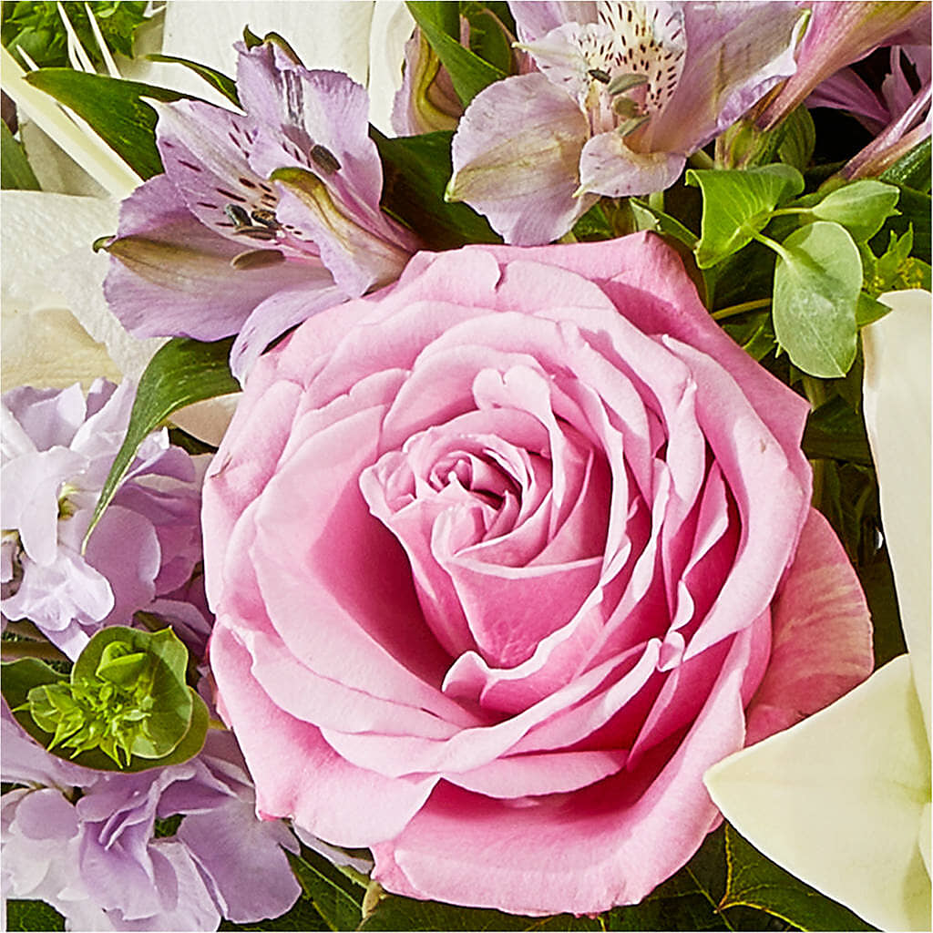 Daydreamer Bouquet – J ALEXANDER'S FLORIST, Jackson MI