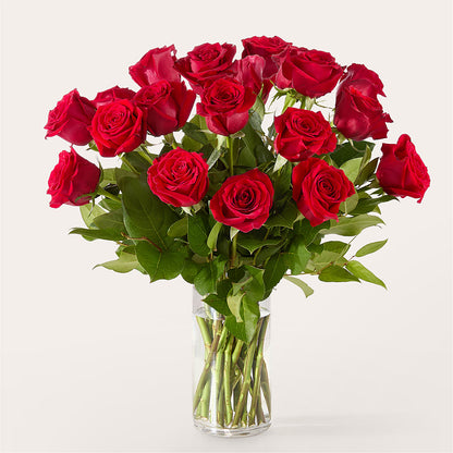 The One Red Rose Bouquet – J ALEXANDER'S FLORIST, Jackson MI
