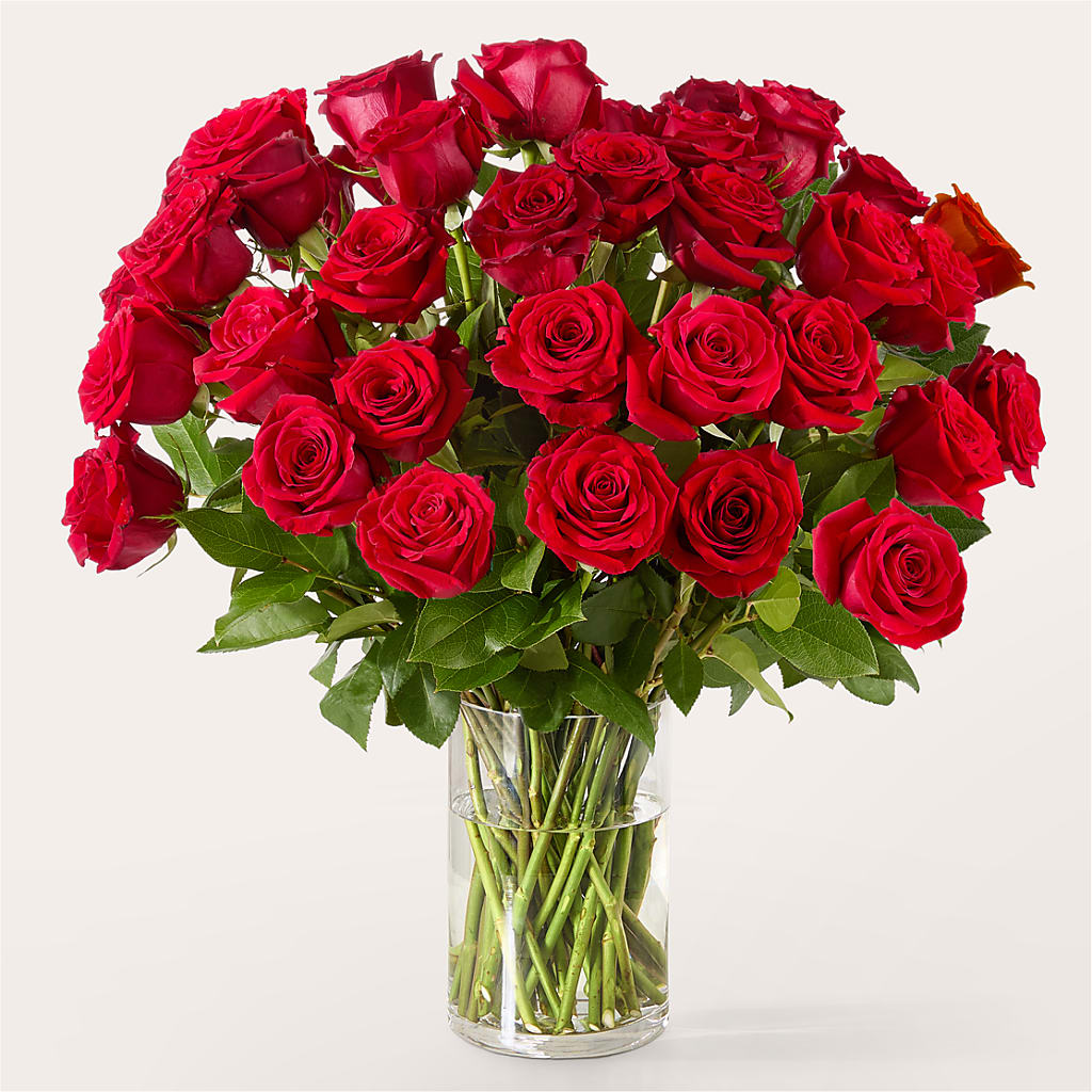 The One Red Rose Bouquet – J ALEXANDER'S FLORIST, Jackson MI