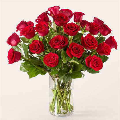 The One Red Rose Bouquet – J ALEXANDER'S FLORIST, Jackson MI