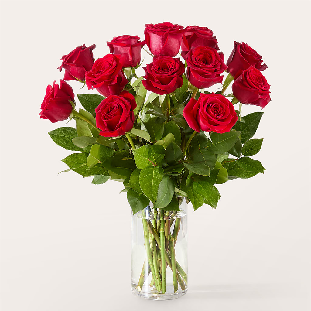 The One Red Rose Bouquet – J ALEXANDER'S FLORIST, Jackson MI