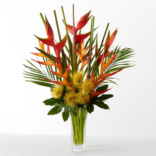The Drama – J ALEXANDER'S FLORIST, Jackson MI