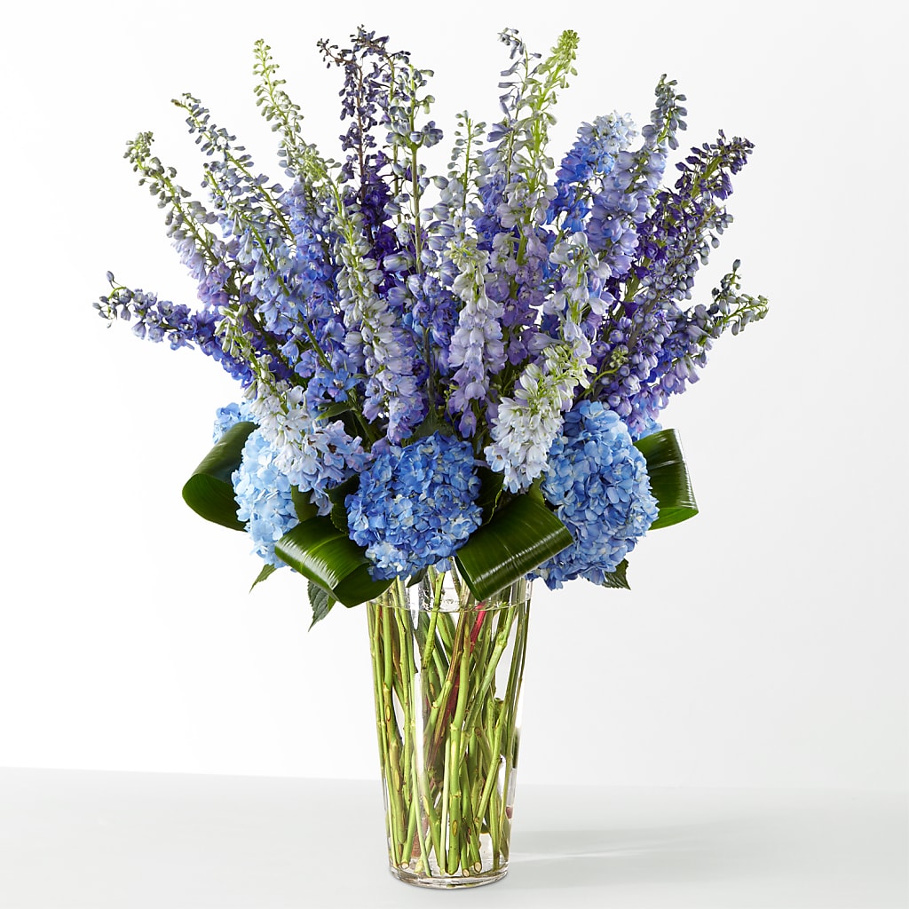 The Editorial – J ALEXANDER'S FLORIST, Jackson MI