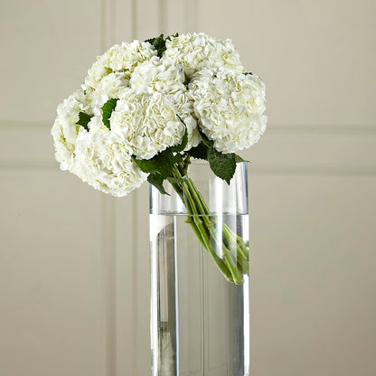 White Hydrangea Hand-Tied Bouquet – J ALEXANDER'S FLORIST, Jackson MI