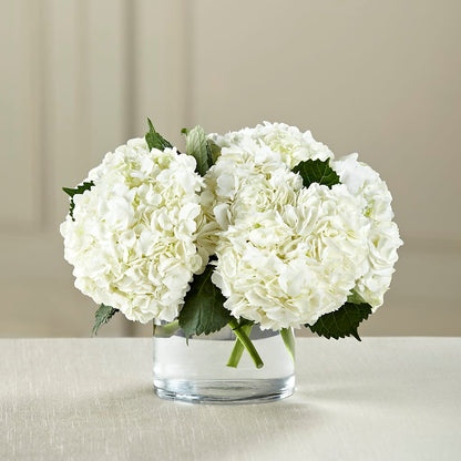 White Hydrangea Bouquet – J ALEXANDER'S FLORIST, Jackson MI